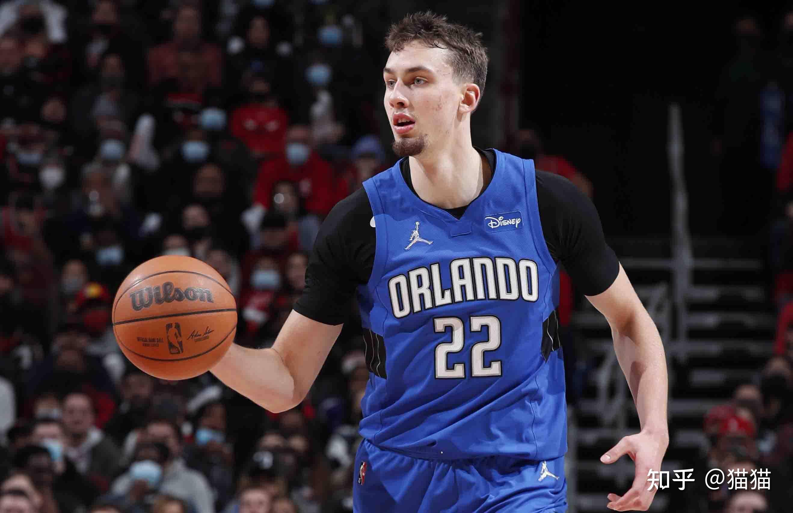 迪奥拉体系 迪奥拉体系