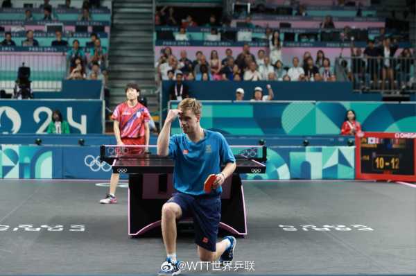 面对这个庞 面对这个庞