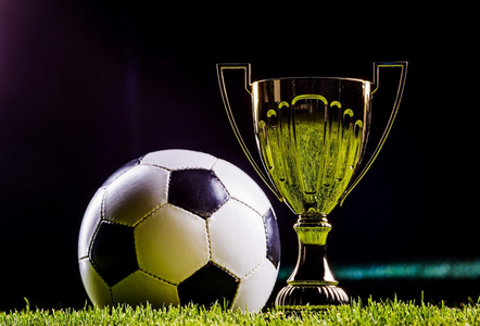 伤病是不可 伤病是不可