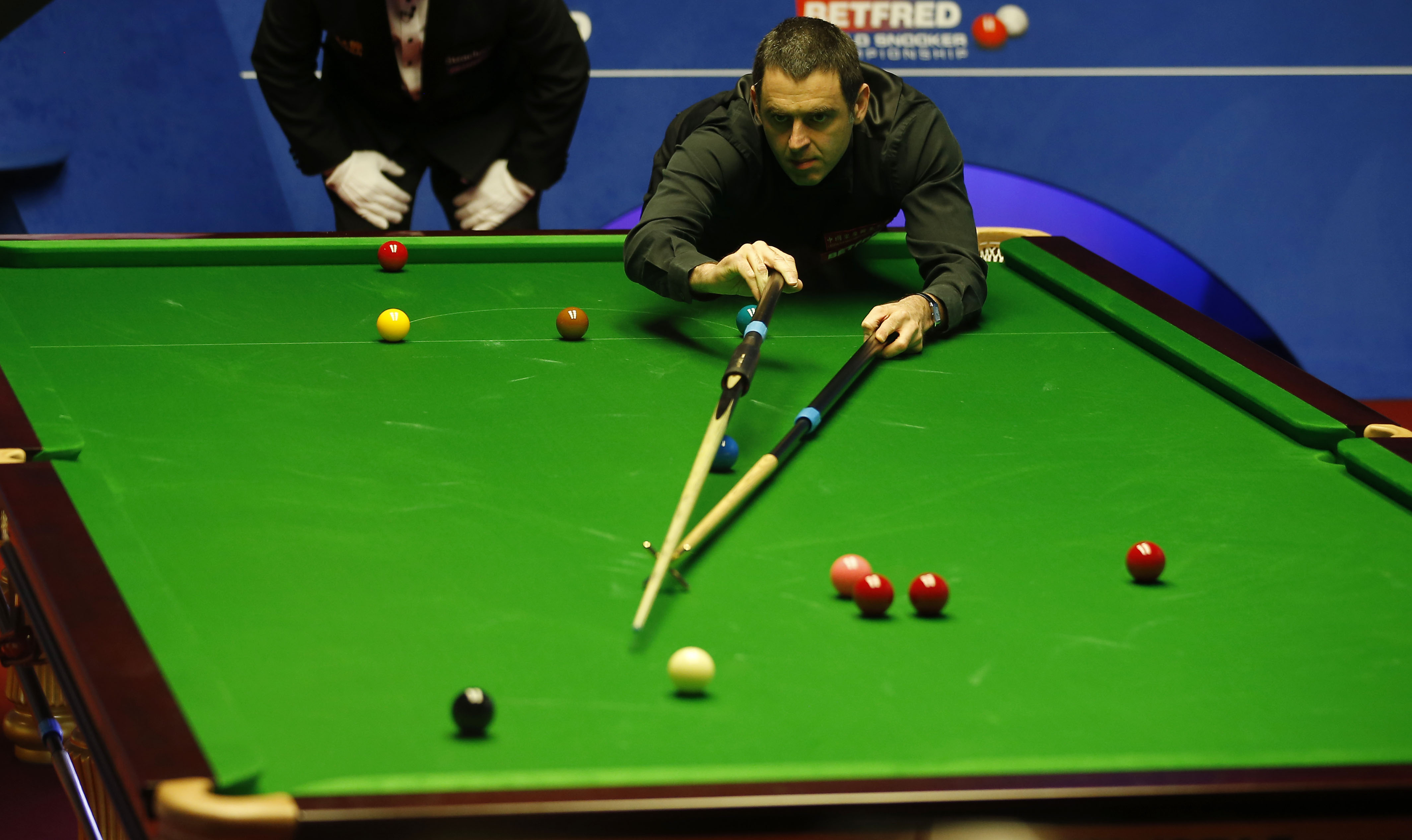 多的期待 多的期待