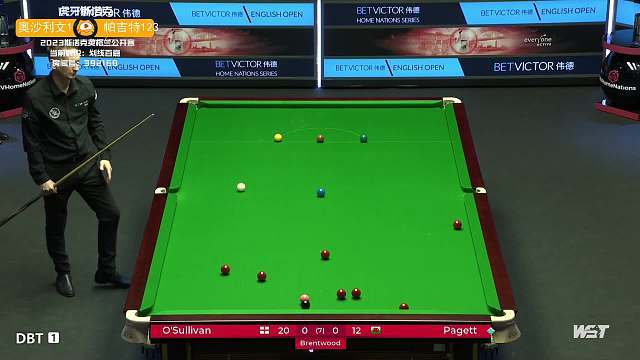 这支团队由 这支团队由