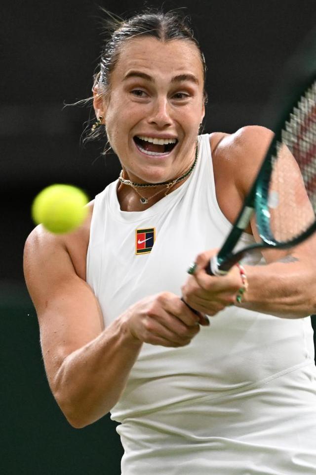 权威的举重 权威的举重